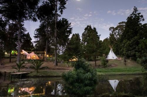 The Luxury Honolulu With Private Bar At Paradise Valley Glamping