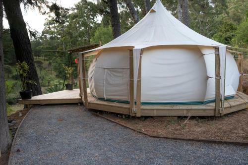 The Luxury Honolulu With Private Bar At Paradise Valley Glamping