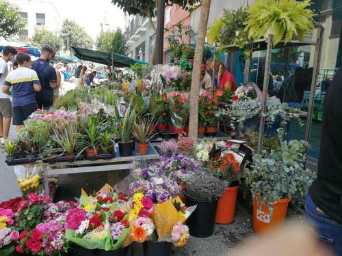 Apartamento Aire
