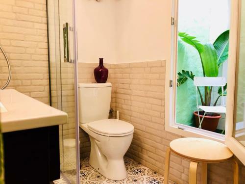 Apartamento Sanjose27