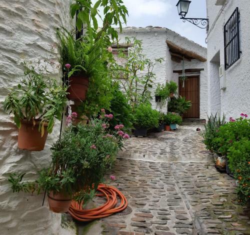 Apartamento Casa Martina