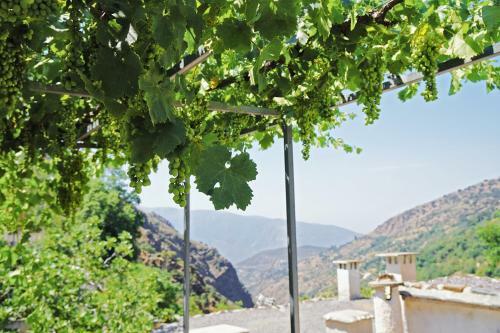 Apartamento Casa Rural Vata Pampaneira