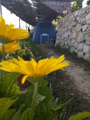 Camping Tirana