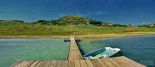 Camping Tirana