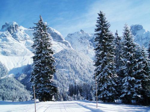 Berg Chalet