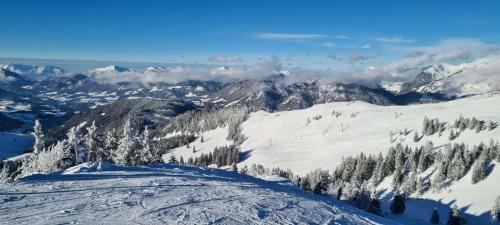 Apartamento Alpenhaus Donnerkogel