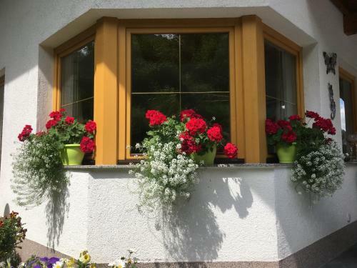 Apartamento Haus Wildebene
