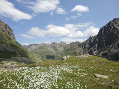 Apartamento Ganderhof