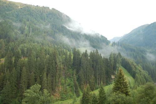 Bed & Breakfast Pension Schollberg
