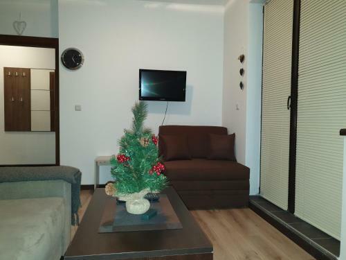 Royal Bansko Aparthotel 206d