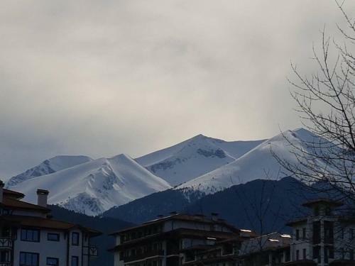 Royal Bansko Aparthotel 206d