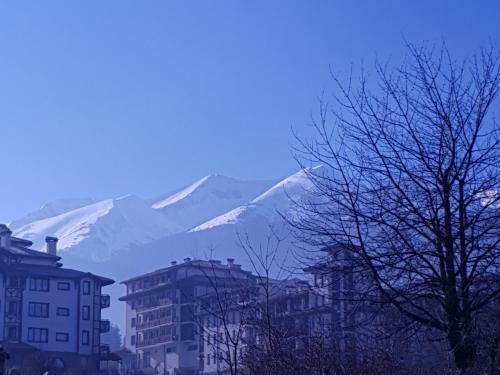 Royal Bansko Aparthotel 206d