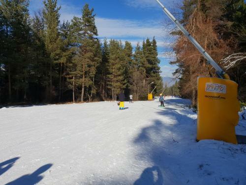 Royal Bansko Aparthotel 206d