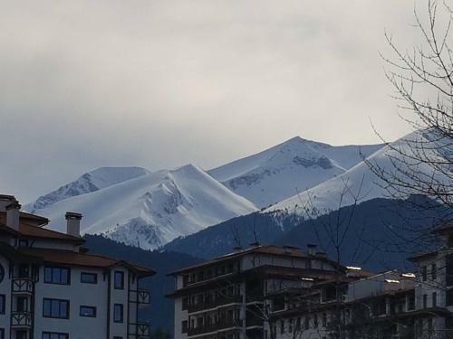 Royal Bansko Aparthotel 206d