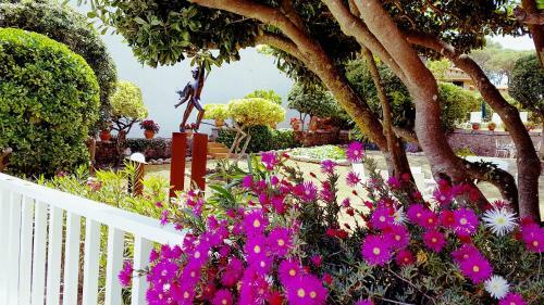 Casa Con Jard�n A 30 Metros de La Playa. Vl.