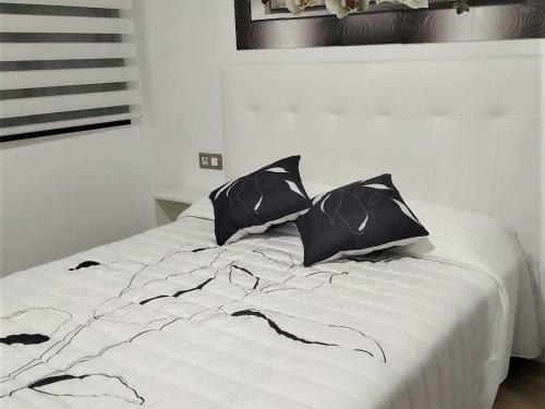 Modern Apartment In Palam�s Near Beach