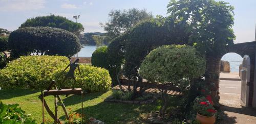 Casa Con Jard�n A 30 Metros de La Playa. Vc.