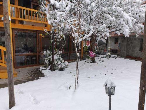 Hostal Mamin Kolio