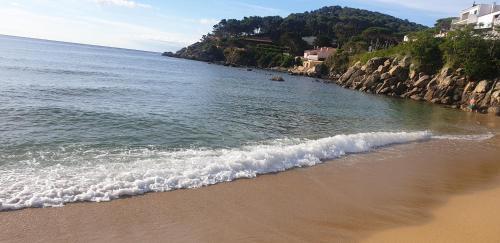 Apartamento Con Jard�n A 11 Metros de La Playa. B3.