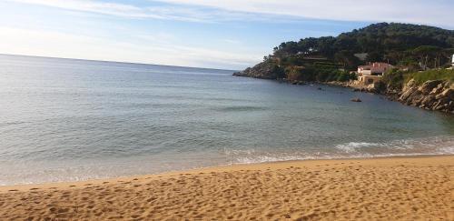 Apartamento Con Jard�n A 11 Metros de La Playa. B3.