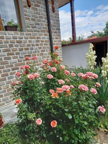 Hostal Guest Rooms Bansko