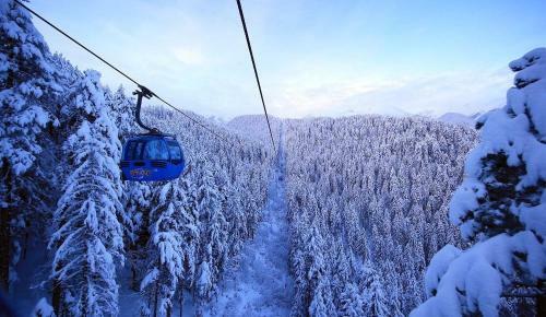 Green Life Bansko, 1 Bedroom Private Apartment D4