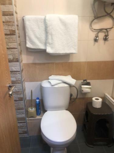 Mechka Ski Apartment