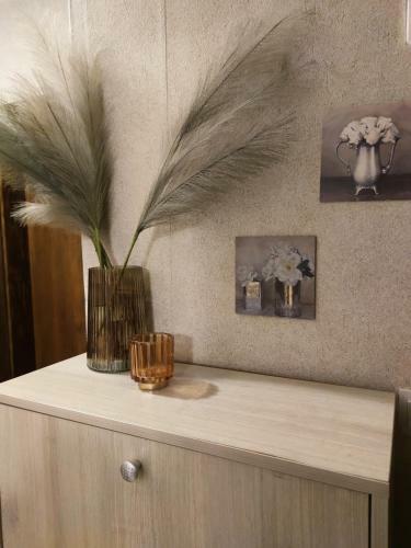 Dream Apartment
