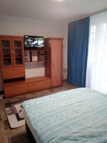 Apartman Vasiljevi?