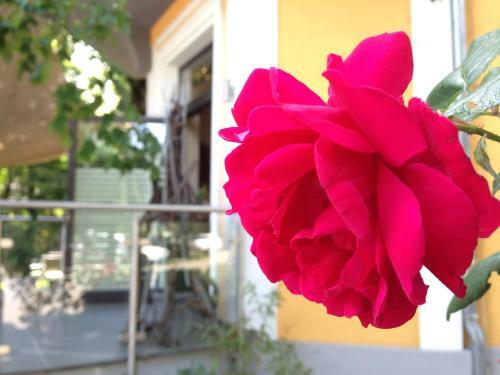 Hostal Gasthof-pension Weisz-artner