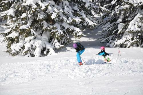 Chalet Edelweiss
