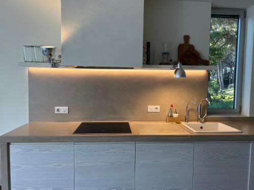 Impals Apartamento 12