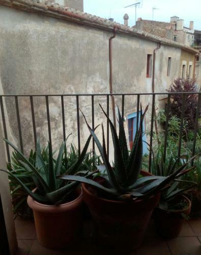Apartamento Happy Nest In Pals Village