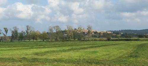 Apartamento Happy Nest In Pals Village
