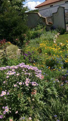 Bed & Breakfast Spacious House With Garden For A Quiet Getaway