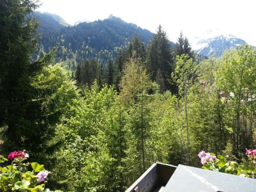 Hostal Haus Widdersteinblick
