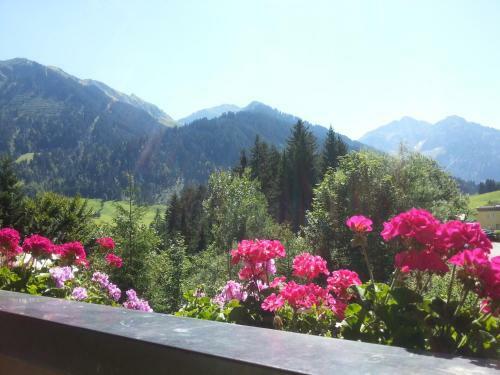 Hostal Haus Widdersteinblick