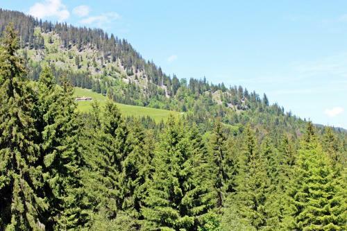 Hostal Alpengasthof H�rnlepass Kr�uterhotel