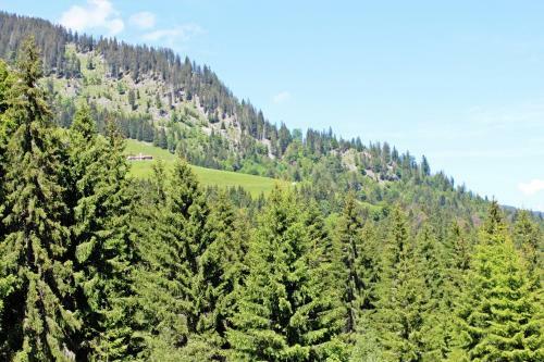 Hostal Alpengasthof H�rnlepass Kr�uterhotel