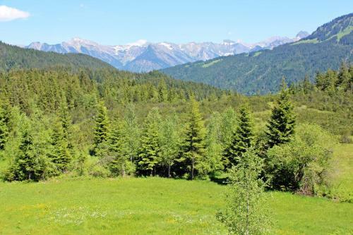 Hostal Alpengasthof H�rnlepass Kr�uterhotel