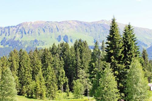 Hostal Alpengasthof H�rnlepass Kr�uterhotel