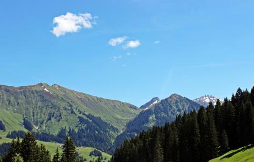 Hostal Alpengasthof H�rnlepass Kr�uterhotel
