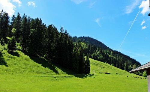 Hostal Alpengasthof H�rnlepass Kr�uterhotel