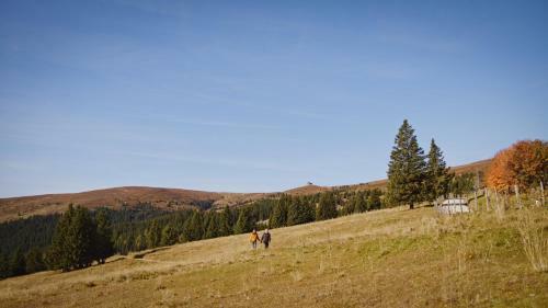 Hostal Alpengasthaus Gie�lh�tte