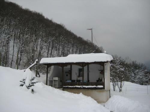 Hostal Bungalows Zdravets