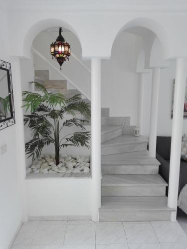Apartamento Residencial Los Pinos 3
