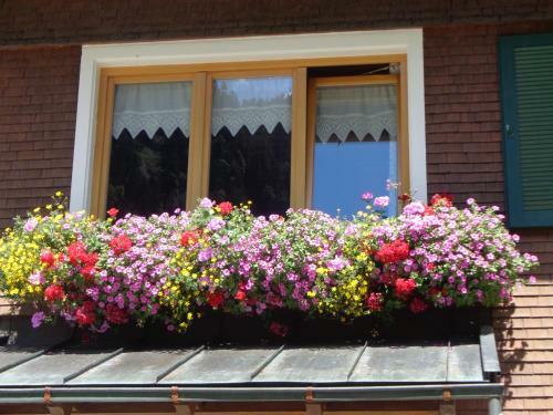Apartamento Haus Annelies