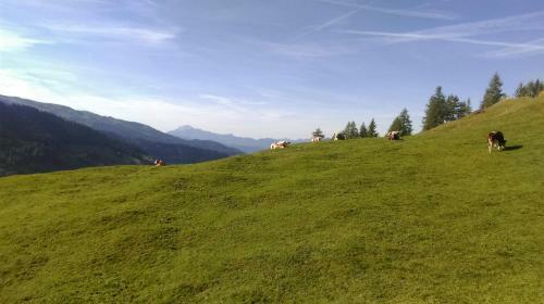 Holzf�llerhaus Melkstatt