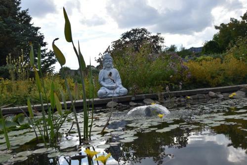 B&B La Villa Orchid�es