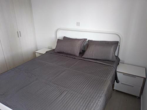 Apartamento Argaka Palm Tree Apts